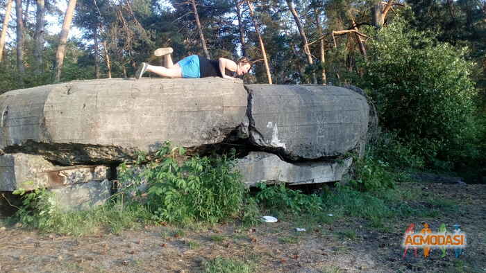 Valery  Vark фото №1082060. Завантажено 22 Липня 2017