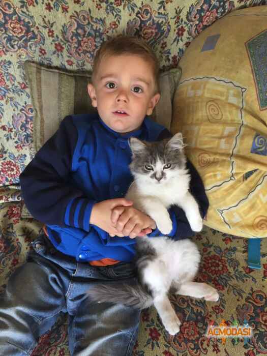 Іван Олексійович Дрьомов фото №1112579. Завантажено 04 Жовтня 2017