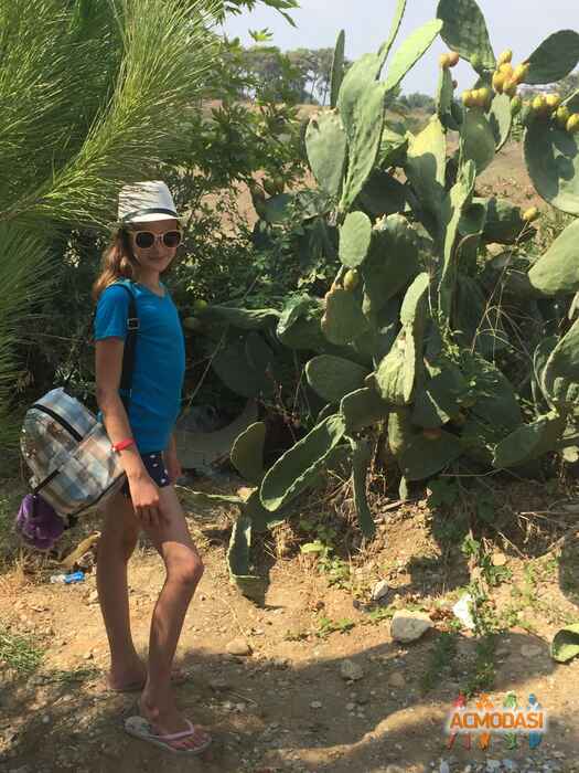 Алина Павловна Панчук-Грищенко фото №1159441. Завантажено 03 Січня 2018