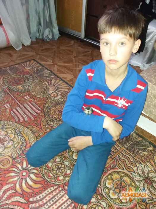 Никита  Лазаренко фото №1122012. Завантажено 22 Жовтня 2017