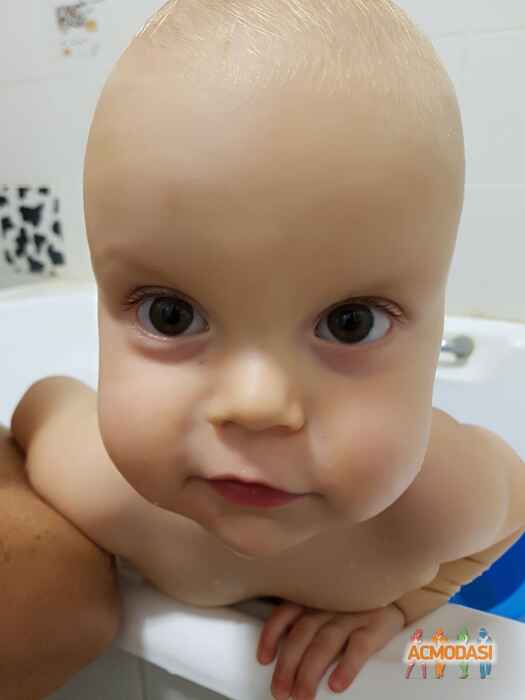 Ярослав Олександрович Пивовар фото №1135632. Завантажено 13 Листопада 2017