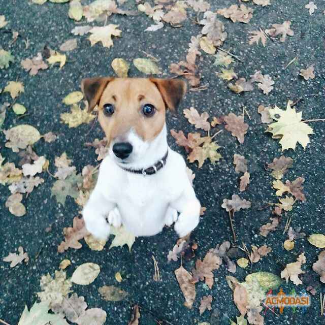 Анастасия   фото №1055387. Завантажено 18 Травня 2017