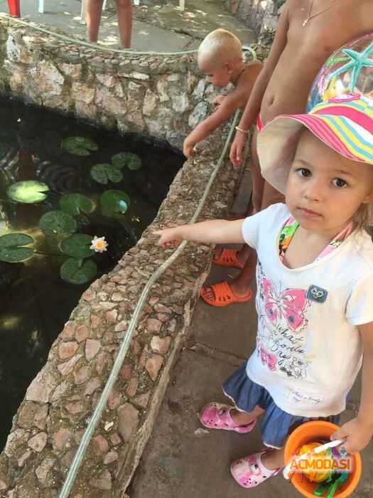 Иванна Вламировна Марченко фото №998378. Завантажено 16 Грудня 2016