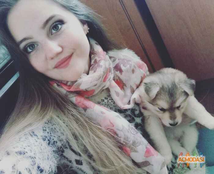 Ірина  Гетьманчук фото №1059132. Завантажено 27 Травня 2017