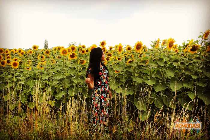 Анна Валериевна Симчук фото №1195166. Завантажено 25 Лютого 2018