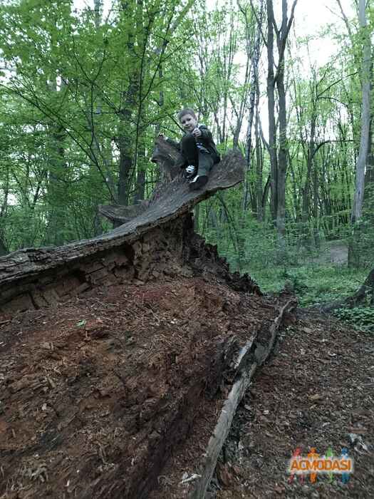 Артур Евгеньевич Крамаренко фото №1533922. Завантажено 29 Травня 2020