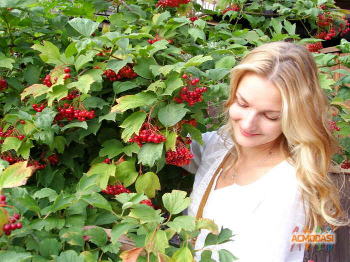 Марина Павленко  фото №1028110. Завантажено 04 Березня 2017