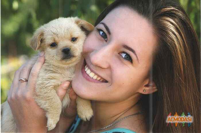 Наталія Володимирівна Демченко фото №1015234. Завантажено 02 Лютого 2017