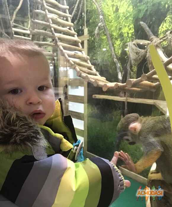 Денис Олександрович Желіба фото №1479900. Завантажено 25 Листопада 2019