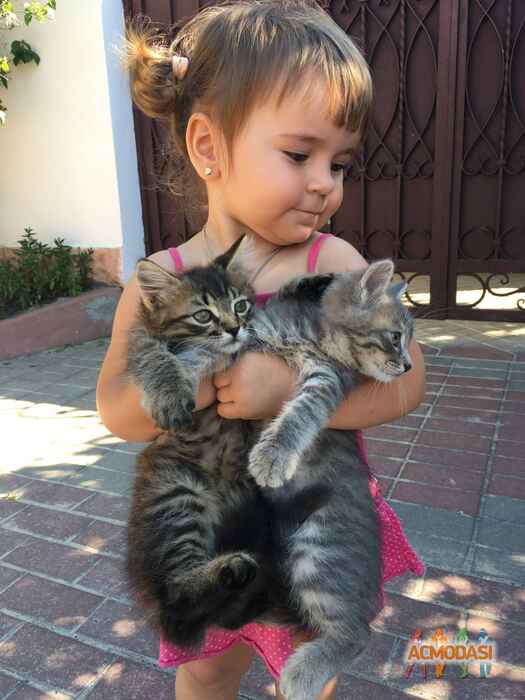 Александра  Шевель фото №934107. Завантажено 19 Липня 2016