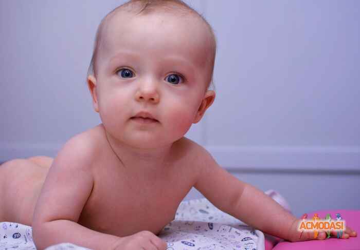 Руслана  Навроцька фото №1012075. Завантажено 26 Січня 2017