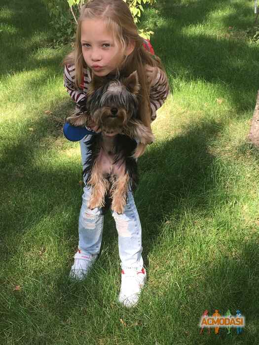 Полина Руслановна Ходак фото №1102414. Завантажено 10 Вересня 2017