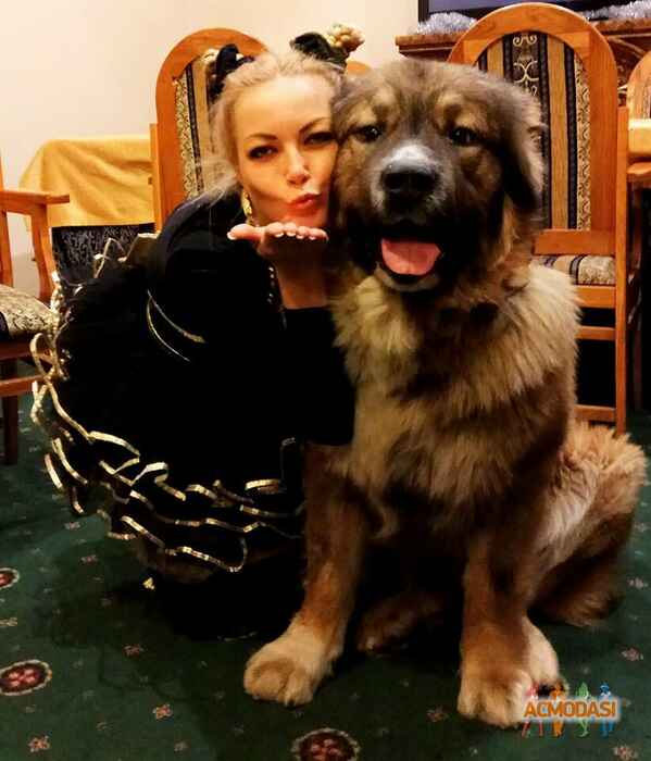 Иноземцева Евгеньевна Евгения фото №1389873. Завантажено 16 Квітня 2019