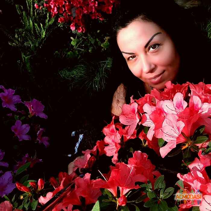 Світлана Данилівна Гришина фото №1041504. Завантажено 09 Квітня 2017