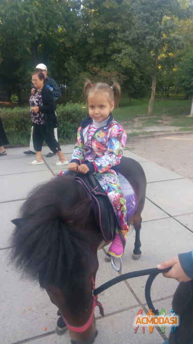 Юлія Анатоліївна Рубанка фото №1147913. Завантажено 04 Грудня 2017