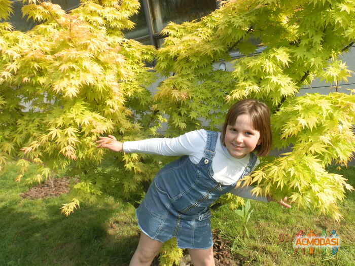 Євгенія Анатоліївна Чернікова фото №1002985. Завантажено 03 Січня 2017