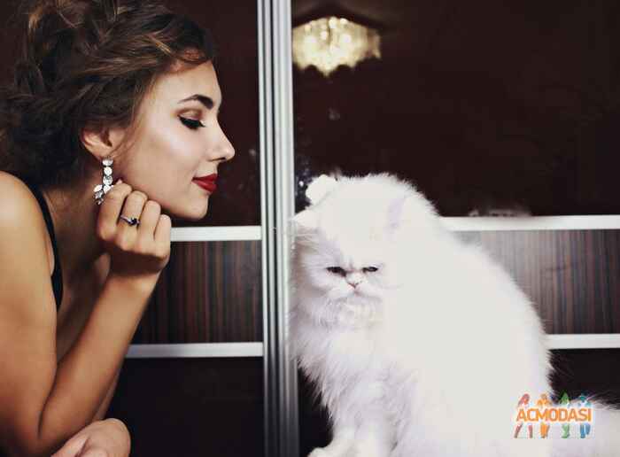 Инна  Гриценко фото №953935. Завантажено 06 Вересня 2016