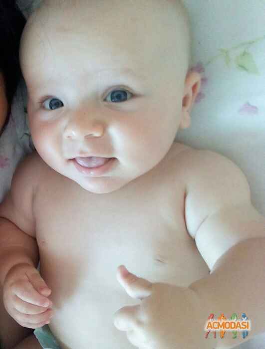 Мирон Олегович Вдовиченко фото №1028619. Завантажено 06 Березня 2017