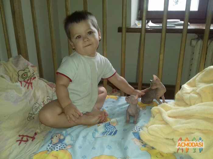 Михайло Володимирович Яременко фото №1031869. Завантажено 15 Березня 2017