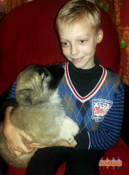 Станислав Игоревич Федорчук фото №1015079. Завантажено 02 Лютого 2017