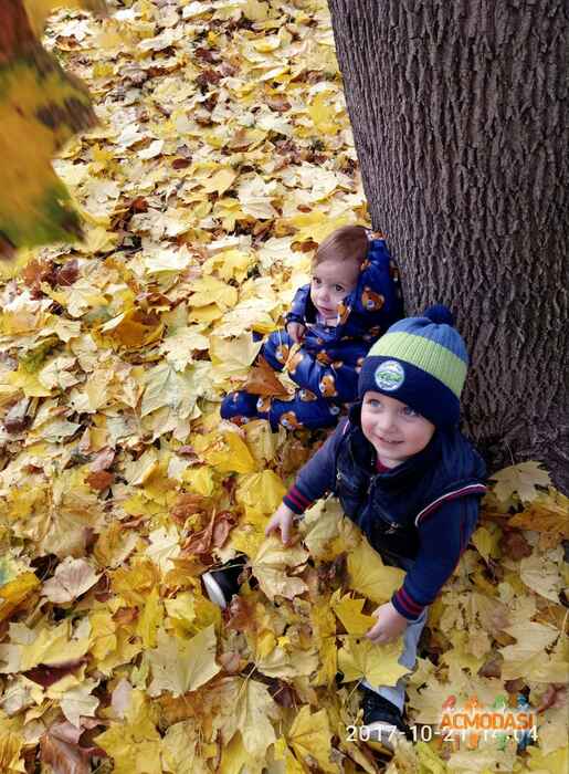 Андрей Геннадийовыч Антонишын фото №1143888. Завантажено 27 Листопада 2017