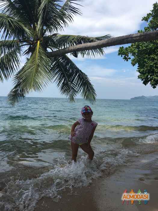 Виктория Юриевна Криваль фото №1013906. Завантажено 30 Січня 2017