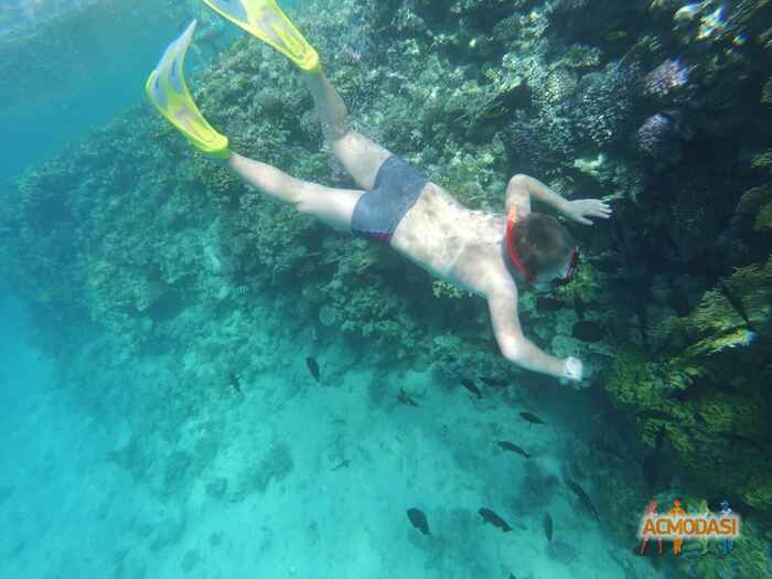 Ярослав Віталійович Щербина фото №1020187. Завантажено 14 Лютого 2017