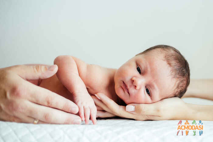 Макар Дмитрович Чаяло фото №1264570. Завантажено 26 Липня 2018