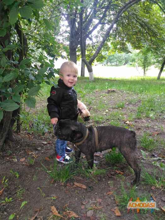 Лев Валерійович Товстуха фото №1438902. Завантажено 22 Серпня 2019