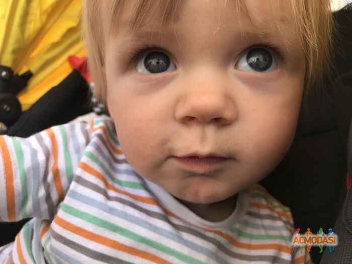 Савелий Кириллович Мизин фото №1086441. Завантажено 02 Серпня 2017