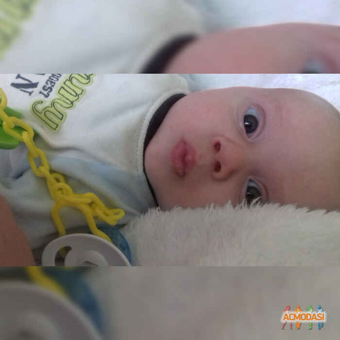 Максим Сергійович Штойко фото №1180664. Завантажено 06 Лютого 2018