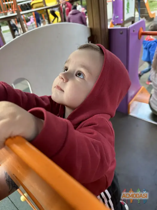 Максим  Вовній фото №1745271. Завантажено 21 Липня 2025