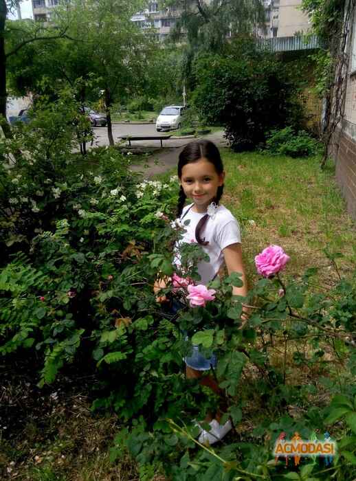 Виталий Анатольевич Закомирный фото №986012. Завантажено 16 Листопада 2016