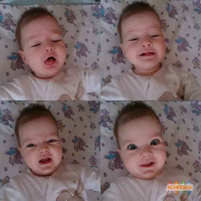 Ірина Іванівна Захарчук фото №1074666. Завантажено 04 Липня 2017