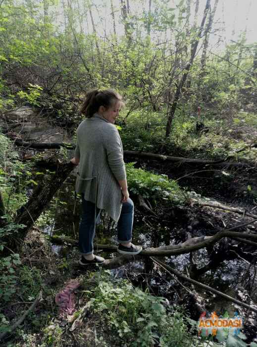 Марина Олегiвна Коваленко фото №1074684. Завантажено 04 Липня 2017