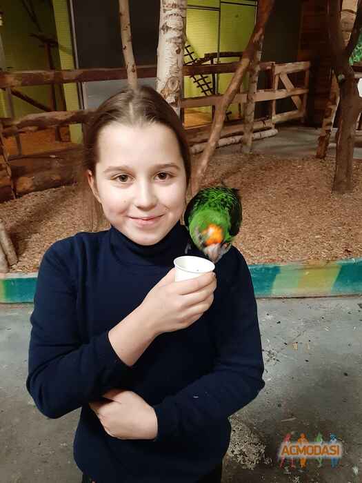 Софийка   фото №1599681. Завантажено 16 Січня 2021