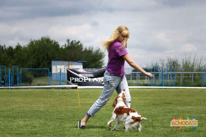 София Геннадиевна Губарева фото №1064243. Завантажено 09 Червня 2017