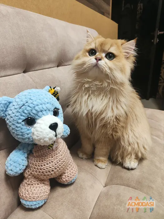 Татьяна  Даниляк фото №1739150. Завантажено 30 Січня 2025