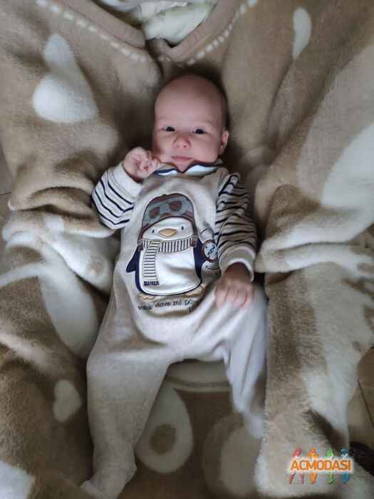 Alina  Larchenko фото №1529245. Завантажено 12 Травня 2020