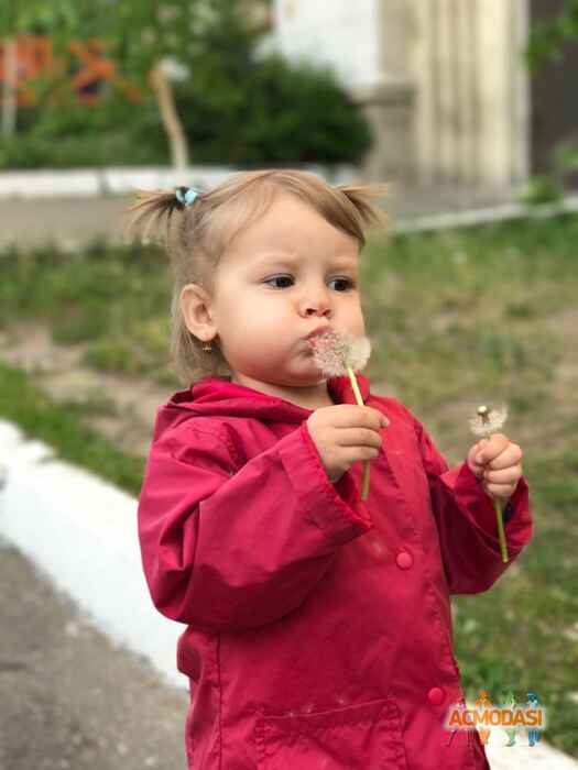 Діана Андріївна Василюк фото №1081246. Завантажено 20 Липня 2017