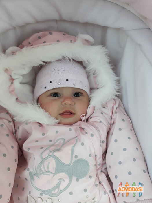 Вероника   фото №1480379. Завантажено 26 Листопада 2019