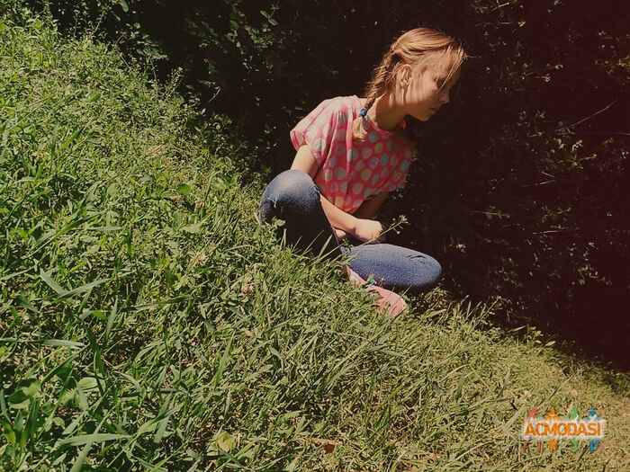 Ангелина Олеговна Смоляр фото №1068428. Завантажено 19 Червня 2017