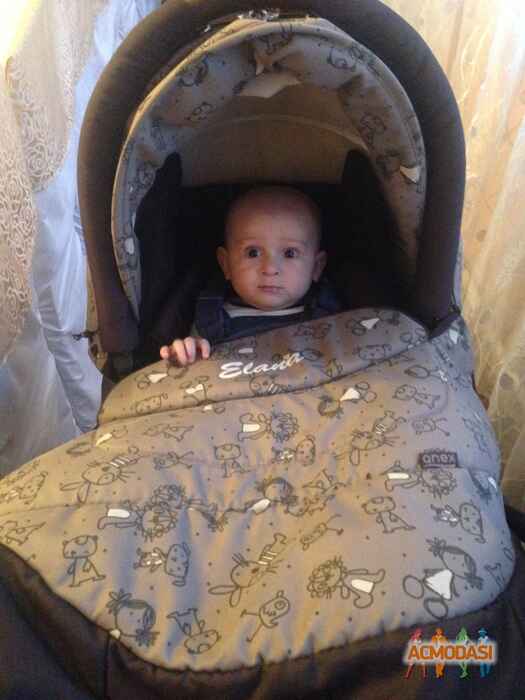Лiнда Нодарiвна Жураковська фото №1316436. Завантажено 03 Листопада 2018