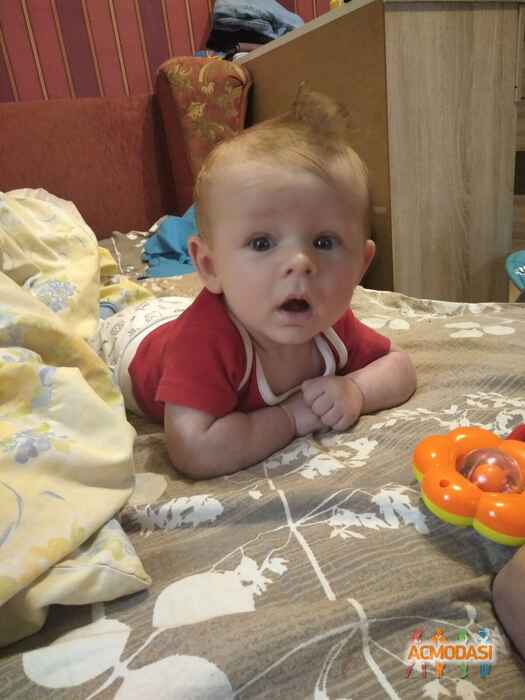 Никита Евгениевич Шевченко фото №1533728. Завантажено 28 Травня 2020