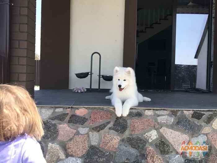 Лариса Дмитриевна Семенюк фото №1057298. Завантажено 22 Травня 2017