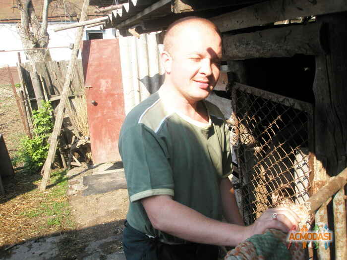 Руслан Николаевич Андрущенко фото №93334. Завантажено 25 Жовтня 2011
