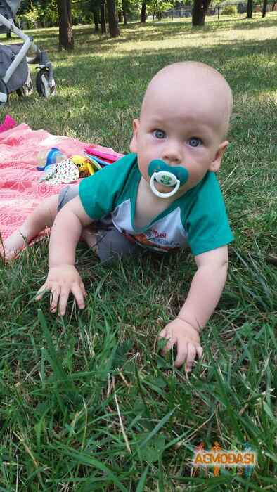 Міша   фото №1085993. Завантажено 01 Серпня 2017