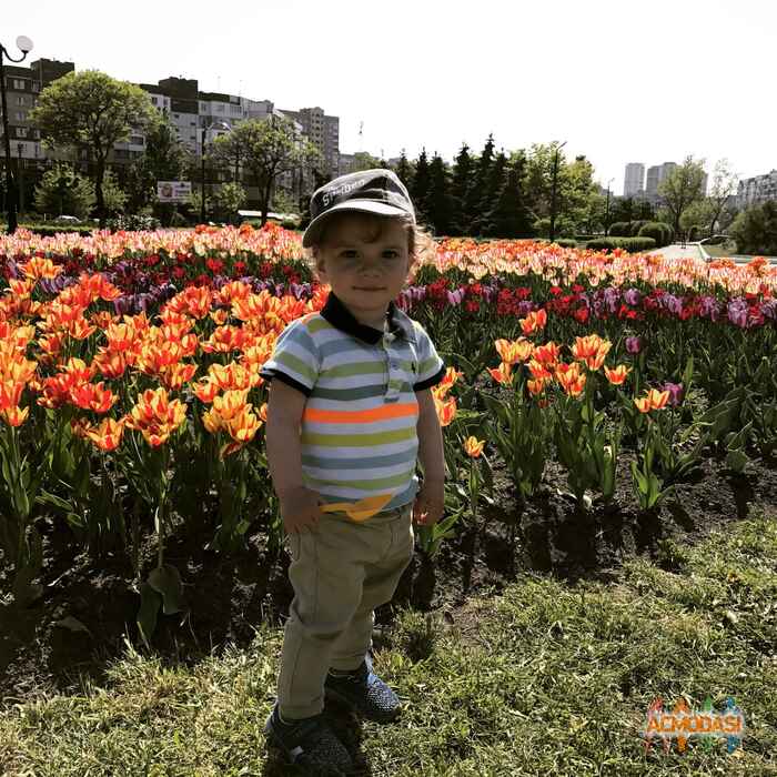 Татьяна Игоревна Гайдаренко фото №1051191. Завантажено 08 Травня 2017