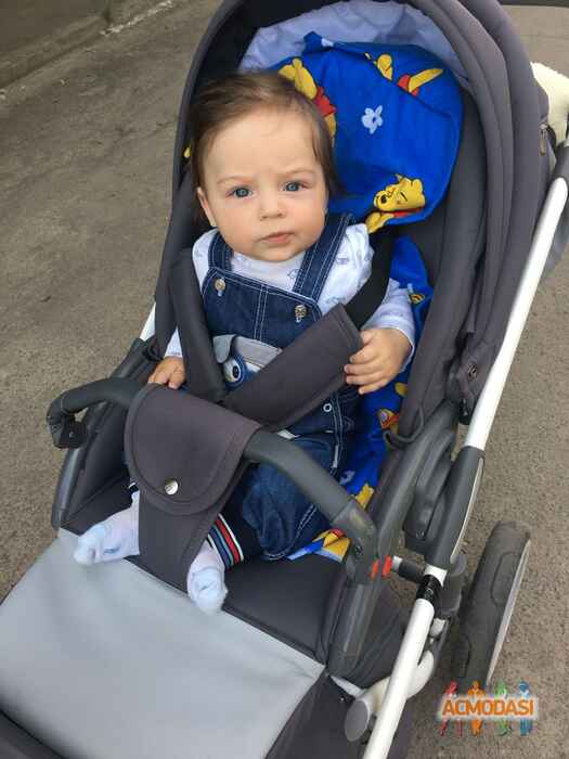 Марцев Давид Александрович фото №1064225. Завантажено 09 Червня 2017