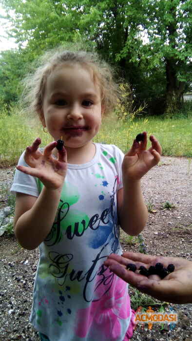 Кира Бродская Вадимовна фото №1128361. Завантажено 02 Листопада 2017